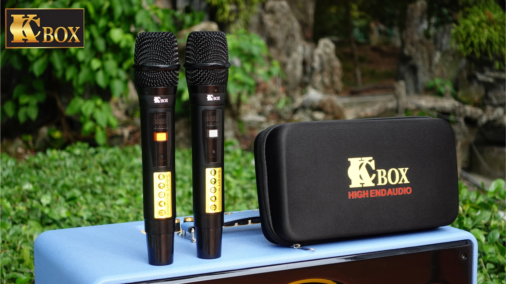 Địa Chỉ Mua Loa Karaoke Gia Đình Uy Tín Tại TPHCM 