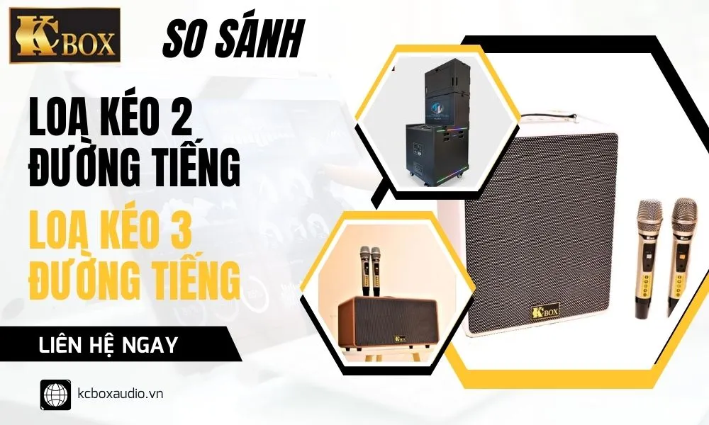 Loa Kéo Karaoke 2 Đường Tiếng Và Loa Kéo Karaoke 3 Đường Tiếng: Phân Tích Chi Tiết