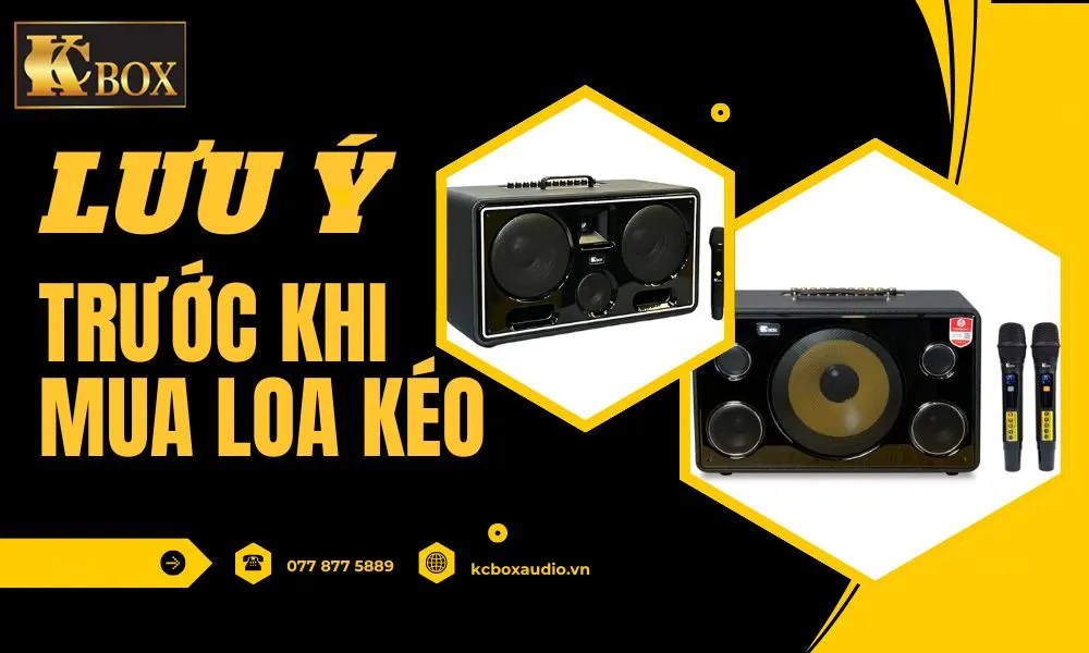 Những Điều Cần Lưu Ý Trước Khi Mua Loa Kéo