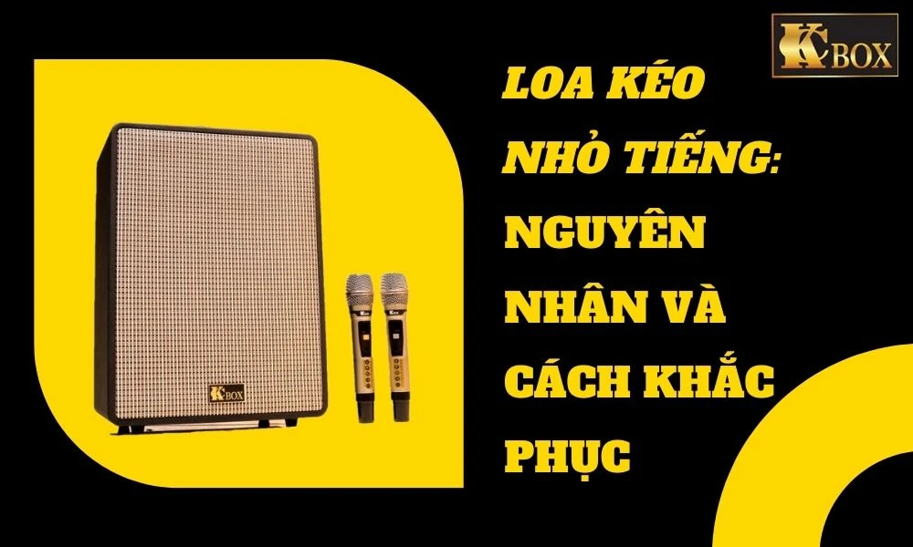 Loa Kéo Bị Nhỏ Tiếng: Nguyên Nhân Và Cách Khắc Phục