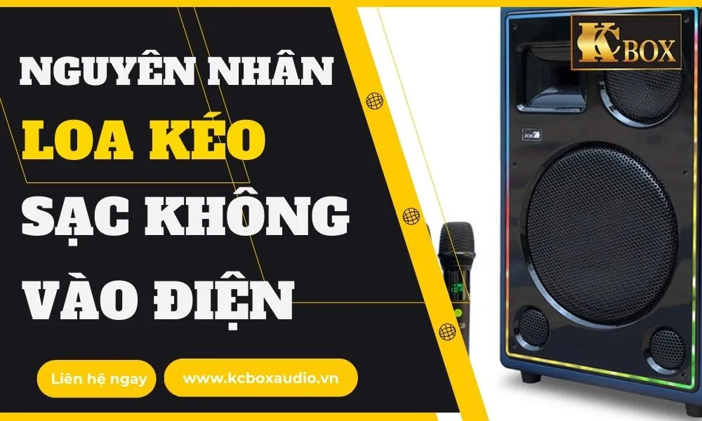 Nguyên Nhân Loa Kéo Sạc Không Vào Điện