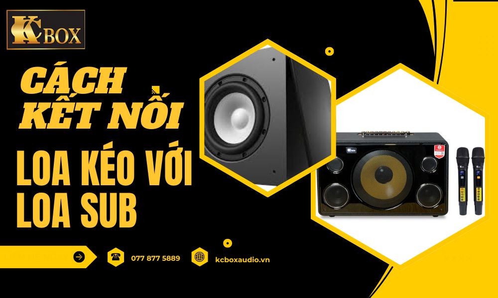 Hướng Dẫn Kết Nối Loa Kéo Với Loa Sub Để Tăng Cường Âm Trầm