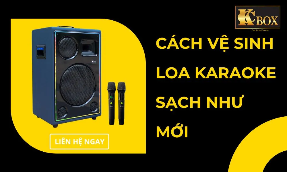 Hướng Dẫn Cách Vệ Sinh Loa Karaoke Di Động Sạch Như Mới