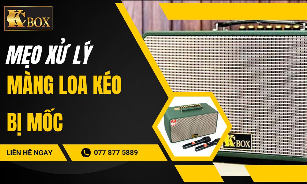 Cách Xử Lý Màng Loa Kéo Bị Mốc Và Mẹo Bảo Quản Loa Karaoke Di Động