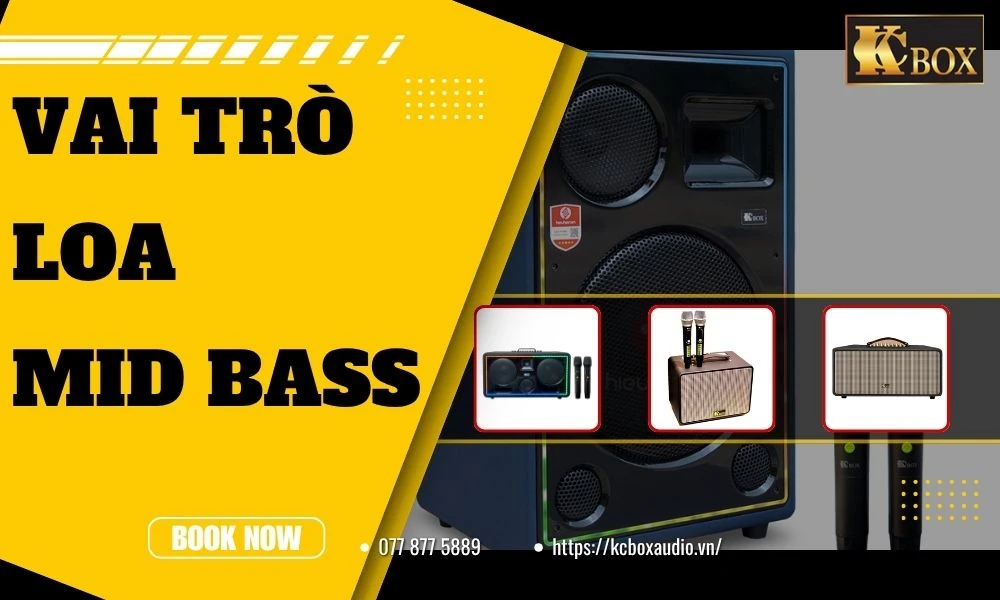 Loa Mid Bass Là Gì? Vai Trò Trong Hệ Thống Âm Thanh Karaoke
