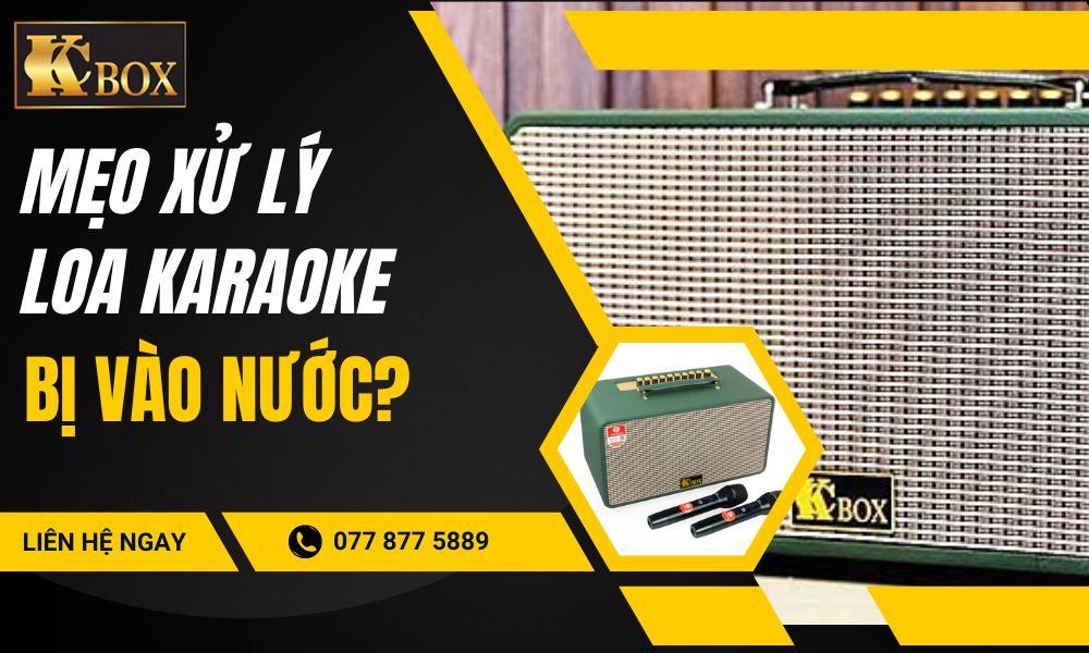 Làm Gì Khi Loa Karaoke Bị Vào Nước Hoặc Ẩm Ướt? Hướng Dẫn Xử Lý An Toàn